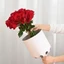 Giấy Kraft nguyên mẫu TUYỆT VỜI, 10 chiếc Giấy gói lót hoa nguyên mẫu, Dụng cụ phụ trợ Vòng tròn thân thiện với môi trường Gói quà tặng