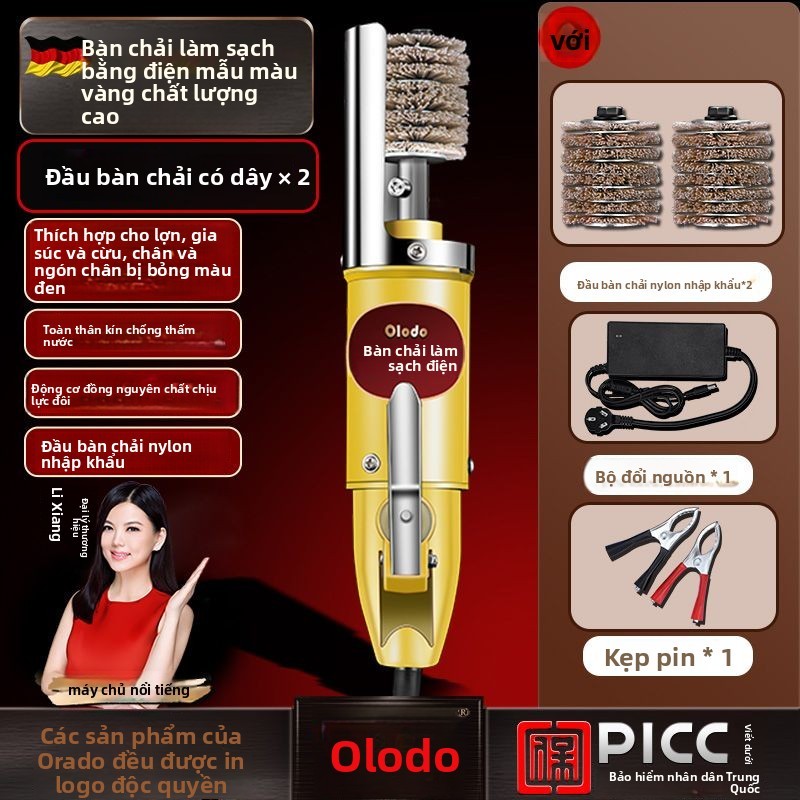 Bàn Chải Tiêu Chuẩn - Bàn Chải Làm Sạch Điện Oraldo