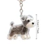 FUHUIOT Móc Khóa Tóc Thú Cưng, Hộp Bảo Quản Tóc Cho Chó Trong Suốt DIY, Móc Khóa Hoạt Hình Chải Lông Acrylic Puppy Mặt Dây Chuyền Trang Sức Quà Tặng