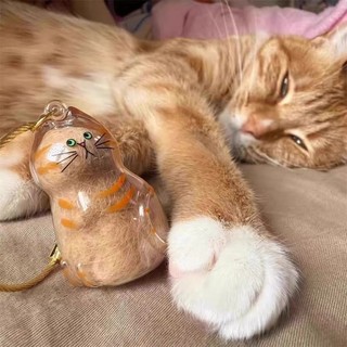 Mèo Hộp Bảo Quản Tóc Mèo Bảo Quản Tóc Thú Cưng Tưởng Niệm Mặt Dây Chuyền Mèo Móc Khóa Lưu Niệm