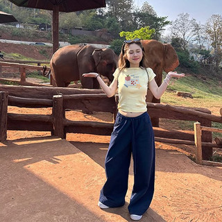 áo thun ôm body vàng chanh baby tee áo kiểu xinh hàn quốc  Eleclassm mùa hè local brand