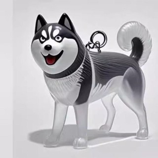 Mặt dây chuyền thu thập tóc cho chó OIWLSAX321, Hộp lưu trữ tóc cho chó di động Bichon Husky Corgi, Quà tặng trong suốt Viên nang lưu trữ tóc cho chó Tưởng niệm thú cưng