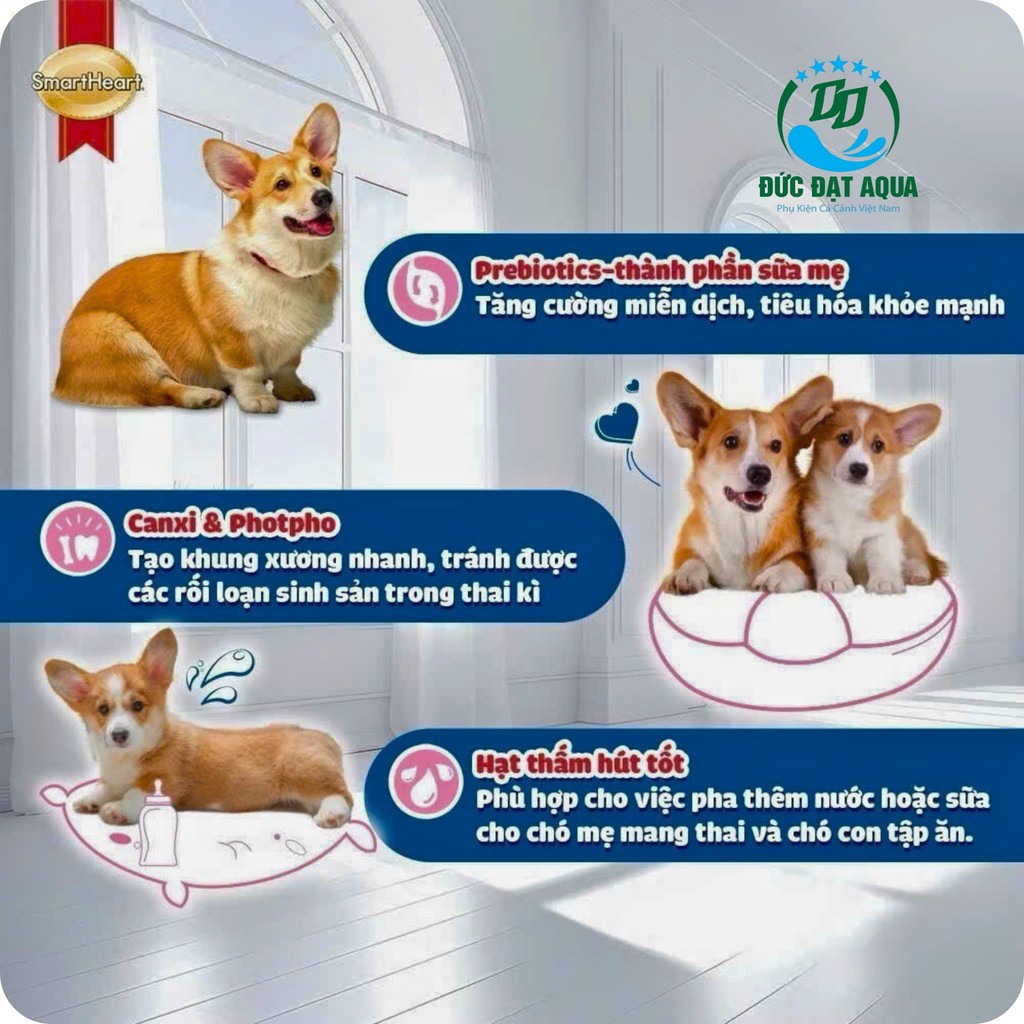 Thức ăn hạt cho chó mẹ và chó con Smartheart Mother & Babydog 1,3kg hàng nhập thái lan 5