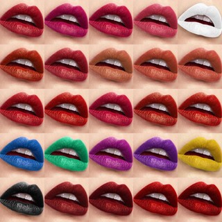 Lip Gloss Palette 25 Colours Matte and Cream Lady Waterproof Lipstick Beauty Cosmetic Lip Stain Set Gift Set for wsdvn