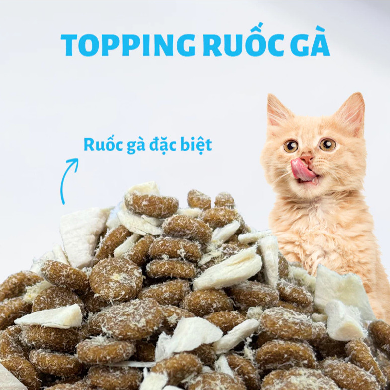 Thức ăn cho mèo MRVET dạng hạt T3 mới 1KG hỗ trợ cải thiện đường tiết niệu cho mèo