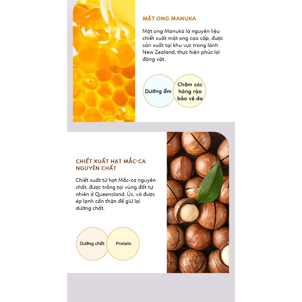 Dầu xả phục hồi tóc hư tổn KUNDAL HONEY & MACADAMIA TREATMENT 500ml | DAMDAVN