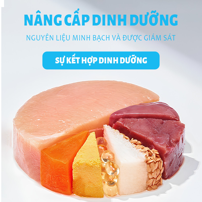Gói Hạt 1kg Mr.Vet T1 cho Mèo ở Mọi Lứa Tuổi - Có Topping Thịt Sấy, Không Độn Đạm Giả