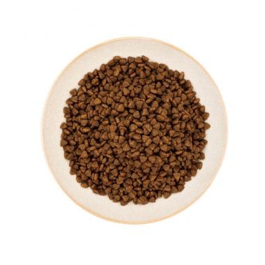 Hạt healthy choice cho chó con 1.5kg