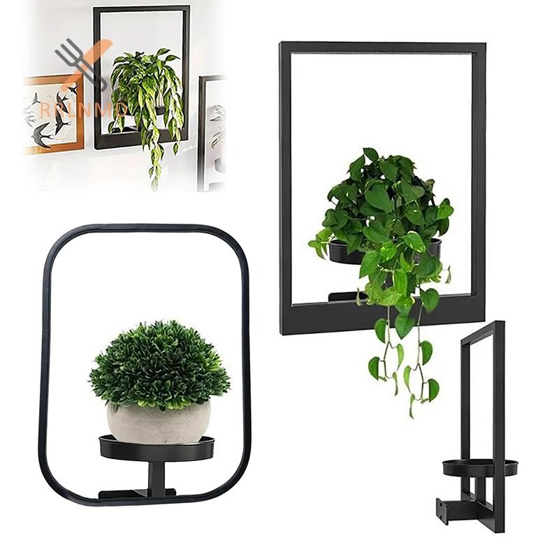RRLNMD Kim Loại Cây Treo Tường Khung Ảnh Treo Tường Cây Treo Tường er Phong Cách Cửa Sổ Kim Loại Thực Vật Giá Đỡ Cho Trang Trí Nhà Màn Hình Đứng MỚI