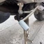 ITRUMPET 1 / 2 Chiếc Cần Số Bảo Vệ Cần Số, Có Thể Tháo Rời Linh Hoạt Xe Máy Cần Số Cần Số Bao, Phụ Kiện Để Chân Xe Máy Đa Năng Silicon