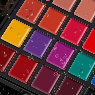 Lip Gloss Palette 25 Colours Matte and Cream Lady Waterproof Lipstick Beauty Cosmetic Lip Stain Set Gift Set for wsdvn