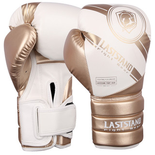 Găng tay đấm bốc, găng tay chiến đấu Sanda, túi đấm, găng tay Muay Thai