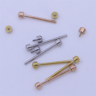 2 Chiếc Đồng Hồ Vít Kết Nối Thanh 14mm 16mm 18mm 20mm 22mm Thanh Thép Không Gỉ Cho Dây Đeo Đồng Hồ Có Rãnh Vít Ống Thanh Thân Phụ Kiện Đồng Hồ Phần Bạc / Vàng / Vàng Hồng