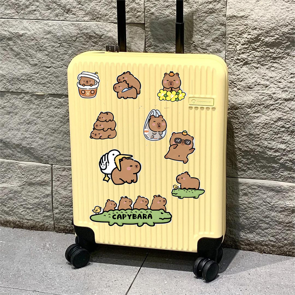 Decal lớn chống nước cho vali, xe hơi, tường – họa tiết capybara YSWI