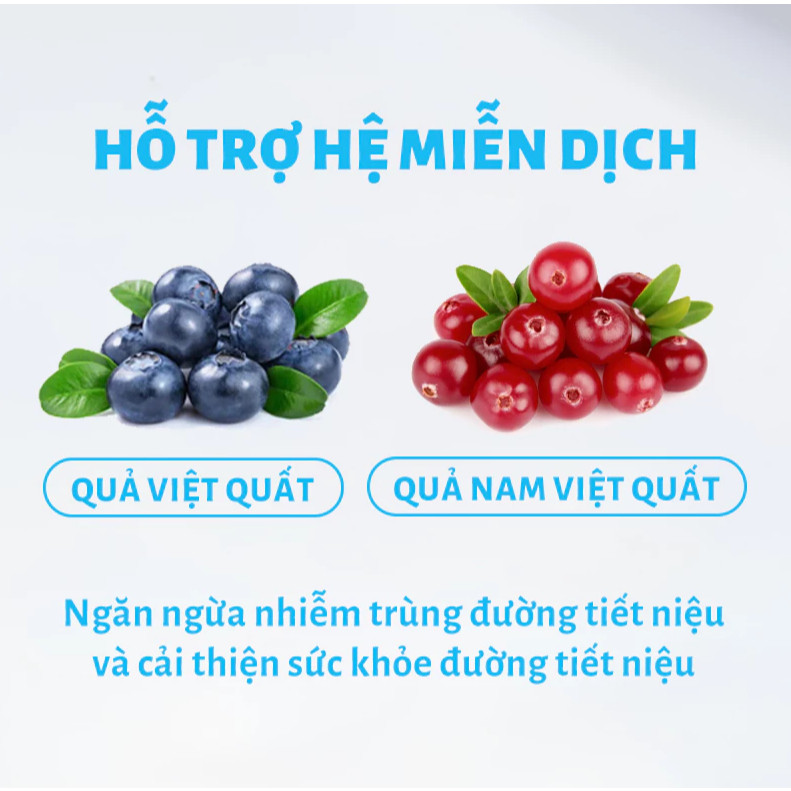 Thức ăn cho mèo MRVET dạng hạt T3 mới 1KG hỗ trợ cải thiện đường tiết niệu cho mèo