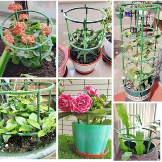 Bộ cổ phần hỗ trợ thực vật 12 gói Vòng hỗ trợ bằng nhựa nửa tròn Trellis Lồng cho hoa hồng Clivia Hydrangea Sử dụng chậu hoa trong nhà nhỏ gọn đơn giản tháo rời chắc chắn phù hợp dùng cho gia đình căn hộ văn phòng và không gian nhỏ