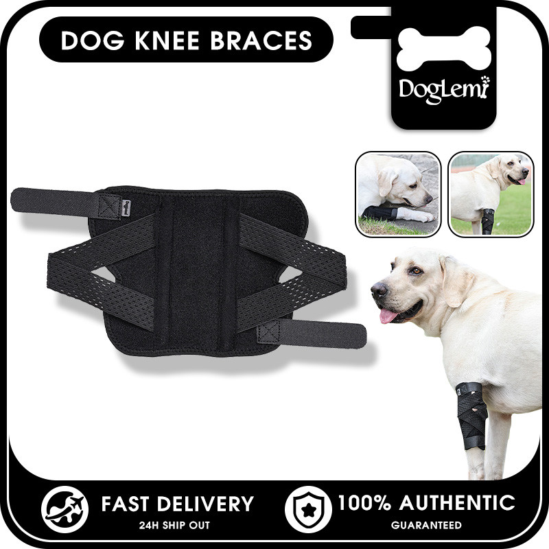 DogLemi Niềng Răng Đầu Gối Cho Chó Có Thể Điều Chỉnh Thú Cưng Móc Nẹp Chân Quấn Thoáng Khí Thoải Mái Cho Chó Bảo Vệ Vết Thương Hỗ Trợ Chữa Bệnh Ngăn Ngừa Bong gân