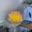 Treeling 50 Chiếc Màu In Hoa Tulip Nụ Hoa Hình Acrylic Hạt Hoa Đèn Ngủ Phụ Kiện Cho DIY Jewerly Earrin