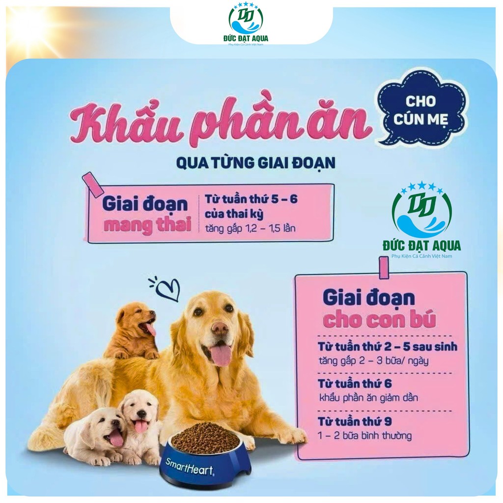Thức ăn hạt cho chó mẹ và chó con Smartheart Mother & Babydog 1,3kg hàng nhập thái lan 4