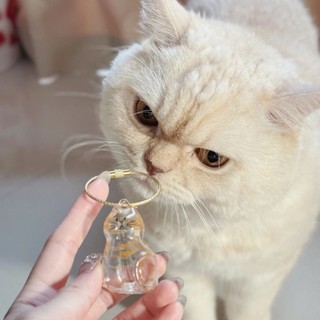 Mèo Hộp Bảo Quản Tóc Mèo Bảo Quản Tóc Thú Cưng Tưởng Niệm Mặt Dây Chuyền Mèo Móc Khóa Lưu Niệm