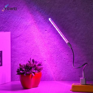 Đèn LED phát triển USB YOWEI Full Spectrum 10W 5V để chiếu sáng cây trồng Đèn Phyto VN