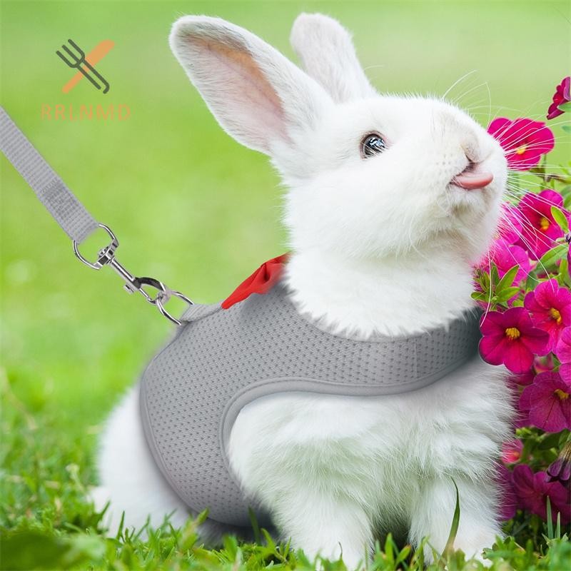 Bộ dây nịt và dây xích thỏ RRLNMD, Áo Vest dây nịt an toàn cho thỏ & chuột lang - Bộ dây xích dây đeo ngực có thể điều chỉnh cho thú cưng nhỏ MỚI