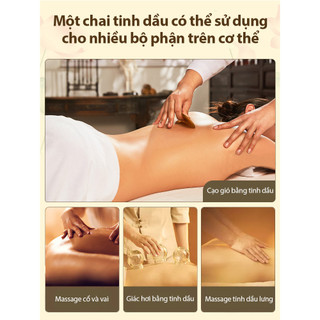 Tinh Dầu Gừng Cũ Dầu Gua Sha Truyền Thống, Thích Hợp Cho Massage SPA Gua Sha