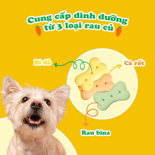 Bánh Quy Rau Củ Cho Chó Mọi Lứa Tuổi Hỗ Trợ Duy Trì Sức Khỏe Đường Ruột - 450gr
