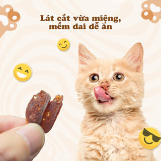 Snack Cá Ngừ Cho Mèo Mọi Lứa Tuổi Mềm Mại Dễ Ăn