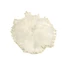 Hạt Giống Ngọc Trai Scrunchie Dày cho Tóc Dầy và Đuôi Ngựa Thanh Lịch