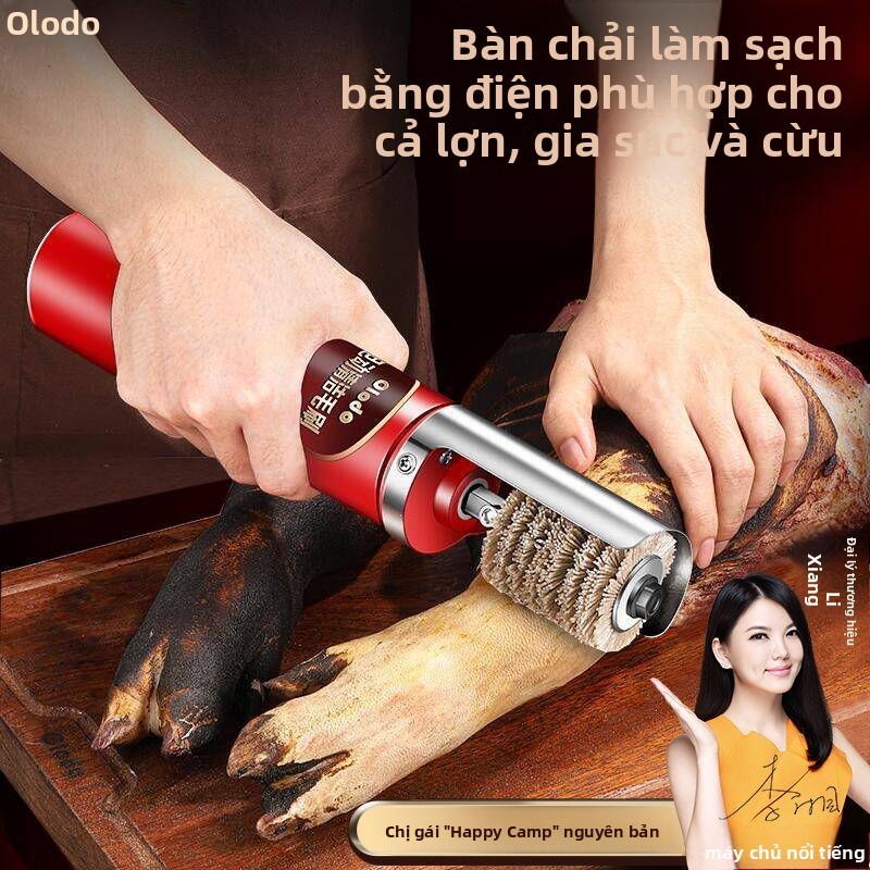 Bàn Chải Làm Sạch Điện Oraldo - Hình Ảnh Thực Tế
