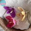 Sund Hoa Mới Vuốt Tóc Cho Nữ Thời Trang Ánh Sáng Sang Trọng Kẹp Bên Pháp Thanh Lịch Tính Khí Phụ Kiện VN