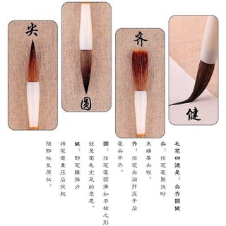 Người Mới Bắt Đầu Tinh Khiết Tím Tóc Sói Cừu Tóc Người Mới Bắt Đầu Tranh Trung Quốc Thư Pháp Cao Cấp Bàn Chải Thư Pháp Chuyên Dụng 6.4