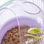 Hộp đựng vẹt công suất lớn Mya Hộp đựng chim ăn có cá rô cho Budgies và Cockatiels