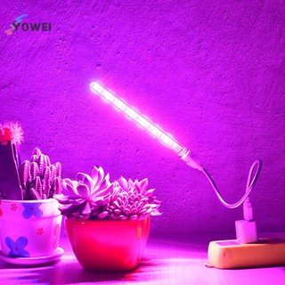 Đèn LED phát triển USB YOWEI Full Spectrum 10W 5V để chiếu sáng cây trồng Đèn Phyto VN