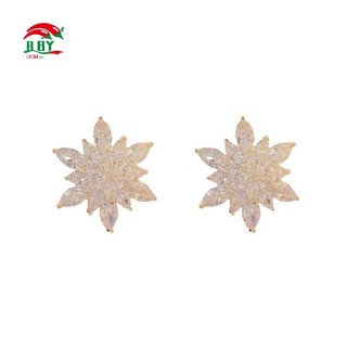 Phụ Nữ Bông Tai Hoa Pha Lê Bạc 925 Sáng Bóng Bông Tai Trang Sức Không Gây Dị Ứng Cho Tiệc Cưới Trang Sức Quà Tặng Sinh Nhật
