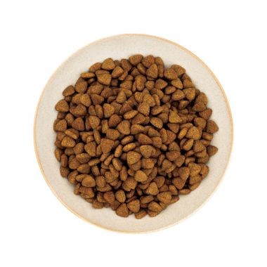 Hạt healthy choice cho chó trưởng thành giống vừa & lớn 400GR