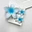FEDAOG 3 Cái / bộ Kẹp Tóc Hoa Hawaii, Móng Vuốt Tóc Hoa Acrylic Plumeria, Kẹp Tóc Chuyển Màu Sắc Mùa Hè