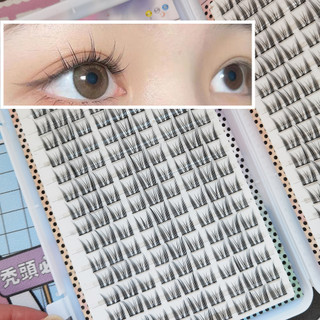 288 cụm 180 cụm 72 cụm lông mi tai mèo elf