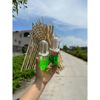 Cóng uống nước tự động dáng TRÒN chim chào mào nhựa, cóng đựng thức ăn cho chim dung tích lớn nhiều màu sắc