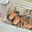 Treeling Dễ Thương Gián Đồ Chơi Móc Khóa Đáng Yêu Gián Ngộ nghĩnh Cho Bạn Gái
