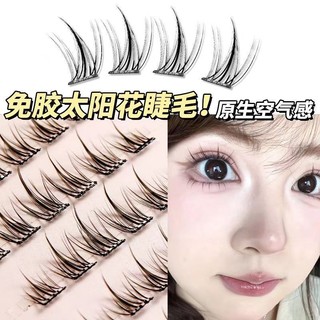 Mi giả dán tự dính Cúc Mặt Trời Thương hiệu Chim May Mắn Kiểu tự nhiên