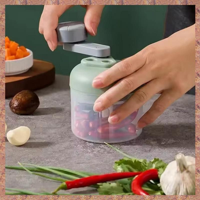 Máy Xay Thực Phẩm Có Hộp Đựng Hành Chopper Hướng Dẫn Sử Dụng Máy Xay Thực Phẩm Trắng 250ML (R F C V)