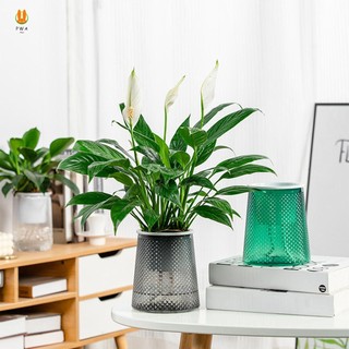 Chậu hoa thủy canh trong suốt Tinh tế Nhà hiện đại Chậu hoa tự tưới nước cho căn hộ gia đình Trang trí văn phòng