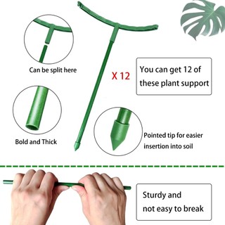 Bộ cổ phần hỗ trợ thực vật 12 gói Vòng hỗ trợ bằng nhựa nửa tròn Trellis Lồng cho hoa hồng Clivia Hydrangea Sử dụng chậu hoa trong nhà nhỏ gọn đơn giản tháo rời chắc chắn phù hợp dùng cho gia đình căn hộ văn phòng và không gian nhỏ
