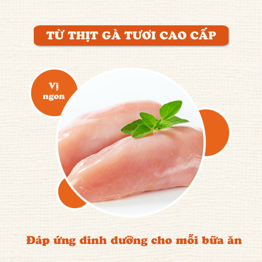 Sợi gà sấy dẻo 80g doggy man