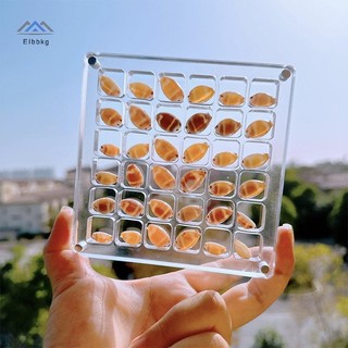 ELBBKG Acrylic Từ Seashell Hộp Hiển Thị Seashell Rõ Ràng Sao Biển Scepter Sắp Xếp 36 / 64 / 100 Lưới Vỏ Biển Hộp Bảo Quản Mới