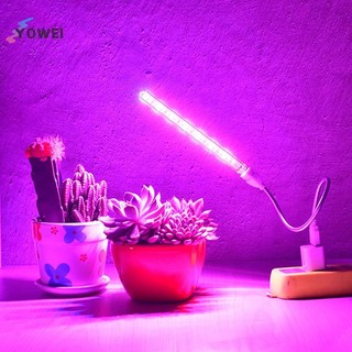 Đèn LED phát triển USB YOWEI Full Spectrum 10W 5V để chiếu sáng cây trồng Đèn Phyto VN