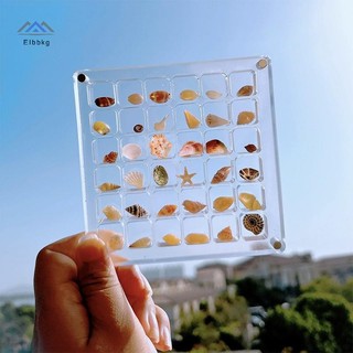 ELBBKG Acrylic Từ Seashell Hộp Hiển Thị Seashell Rõ Ràng Sao Biển Scepter Sắp Xếp 36 / 64 / 100 Lưới Vỏ Biển Hộp Bảo Quản Mới