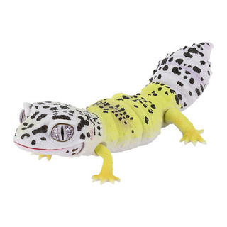 [BTF] BANDAI Capsule Toy Sách minh họa sinh học Gecko Gecko Lizard Armadillo Động vật mô phỏng B4V2S
